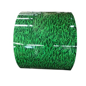 Bobine d'acier galvanisé <span class=keywords><strong>pour</strong></span> <span class=keywords><strong>toiture</strong></span>, tôle d'acier PPGI, fournisseur de matériaux métalliques, bobine d'acier prélaqué - Product Image 5