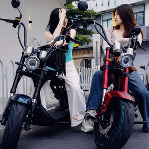 25 KM/H sur COC Citycoco Moto Électrique Gros Pneu Scooter Top Vente Citycoco Scooters Électriques Terrain de Golf pour Adultes - Product Image 6