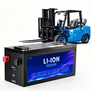 Factory Direct <b>Battery</b> 24V 48V 72V 100Ah 200Ah 300Ah for Lithium Ion with Intelligent BMS OEM ODM - Product Image 1