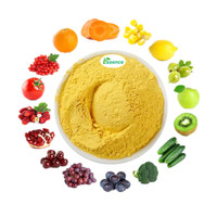 100% Bubuk Jus Buah Alami Murni Campuran Bubuk Buah dan Sayuran