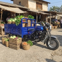 Tricycle de fret motorisé avec moteur refroidi par eau de 250 cm3, cadre renforcé soudé au laser, charge utile élevée, durable, économique