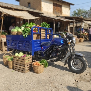 Triciclo <span class=keywords><strong>de</strong></span> Carga Motorizado con Motor <span class=keywords><strong>de</strong></span> 250cc Refrigerado por Agua, Marco Reforzado con Soldadura Láser, Alta Capacidad <span class=keywords><strong>de</strong></span> Carga, Triciclo Duradero y Económico - Product Image 3