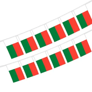 Tela de poliéster con bandera de cordel, bandera nacional de país para decoración de festival de fiesta de cumpleaños