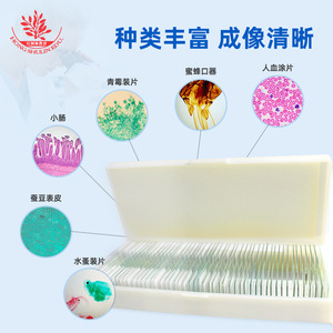 50 - Product Image 1