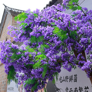 Ramo de Jacaranda Artificial Morado, Tela Impermeable para Decoración de Interiores y Exteriores - Product Image 4