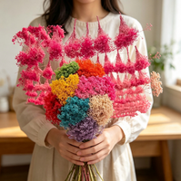 Bunga Gypsophila Awet Abadi Million Star DIY Bahan Buatan Tangan 30-70cm Lampu Tenaga Surya Dekorasi Rumah untuk April Mop