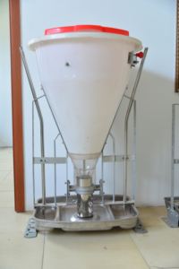 <span class=keywords><strong>Comedero</strong></span> Automático <span class=keywords><strong>para</strong></span> <span class=keywords><strong>Cerdos</strong></span> de Calidad Garantizada - Equipo de Alimentación con <span class=keywords><strong>Tolva</strong></span> <span class=keywords><strong>para</strong></span> Destete y Engorde de <span class=keywords><strong>Cerdos</strong></span> - Product Image 2