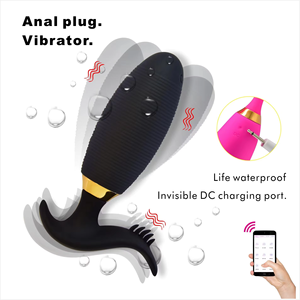 Plug Anal con Control Remoto por Aplicación, 6 Modos de Vibración, Masajeador de Clítoris, Precio de Fábrica al por Mayor - Product Image 4