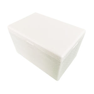 Chất Lượng Cao Xách Tay EPS + VIP Siêu Thấp Tủ Đông Vắc-xin Tủ Lạnh Cooler Box - Product Image 1