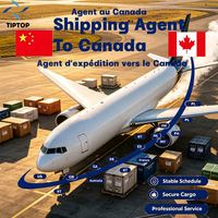 Agente de Transporte, Carga Aérea a Canadá, Aeropuerto Internacional de Montreal-Trudeau, Envío Aéreo Puerta a Puerta, Envío Exprés
