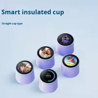 Bouteille d'eau intelligente en acier inoxydable OEM de 520ml avec rappel d'hydratation Tasse à boire intelligente personnalisée pour le bureau