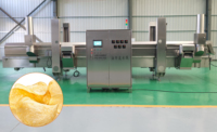 Volautomatische Fabriek Industriële Commerciële Gefrituurde Chips Maken Machine Bevroren Frietjes Productielijn