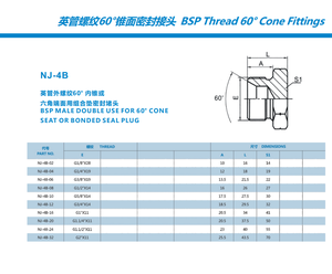 Áp lực cao Carbon thép người Anh chủ đề bspp nam đôi sử dụng cho 60 ° Cone ghế hoặc ngoại quan con dấu Cắm phích cắm thủy lực và mũ - Product Image 2
