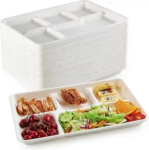 biodegradable food tray with divisions with lid disposable large bagasse food container lunch chip tray cpet