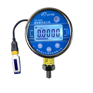 Manomètre numérique intelligent avec fonction d'enregistrement et sortie relais YW-100B Intellige - Product Image 3