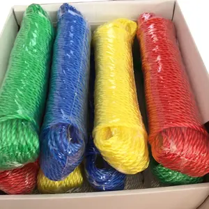 RIOOP Twisted HDPE Rope Plastic 3mm 300g White Color PE Rope Colors Rope New Raw Material With UV Protection