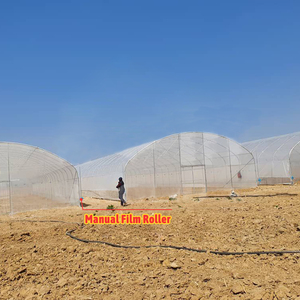 Serra Agricola Monocampata in Film Plastico BAOLIDA per <span class=keywords><strong>Semi</strong></span> di <span class=keywords><strong>Pomodoro</strong></span> - Product Image 4