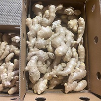 Gingembre jaune frais cru de 3 ans, soigneusement sélectionné, en gros morceaux solides, petit gingembre Huang naturel pour la cuisine et les épices