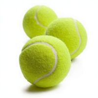 Balles de tennis authentiques du fabricant, modèle professionnel pour l'entraînement et la compétition amateur, durables et à haute élasticité