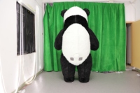 Costume de mascotte gonflable en peluche de panda géant personnalisé unisexe, modèle ancien, pour adultes