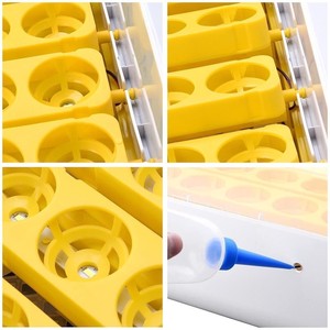 Incubadora de Huevos de Gallina Mini 56, Precio Promocional HHD, Totalmente Automática para <span class=keywords><strong>Pollitos</strong></span> con Función de Prueba LED - Product Image 5