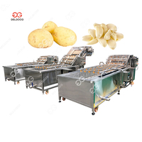 Verse Gember Reinigingsmachine Lijn Groente En Fruit Waslijn Frietjes Strach Apple Chips Wasmachine