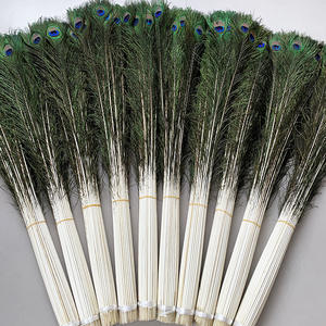 90-100cm Natürliche Rohe Pfauenfedern Indische Federn Karnevalszubehör Bastelbedarf Kostüm Tanz Festival Bühnenauftritt - Product Image 1