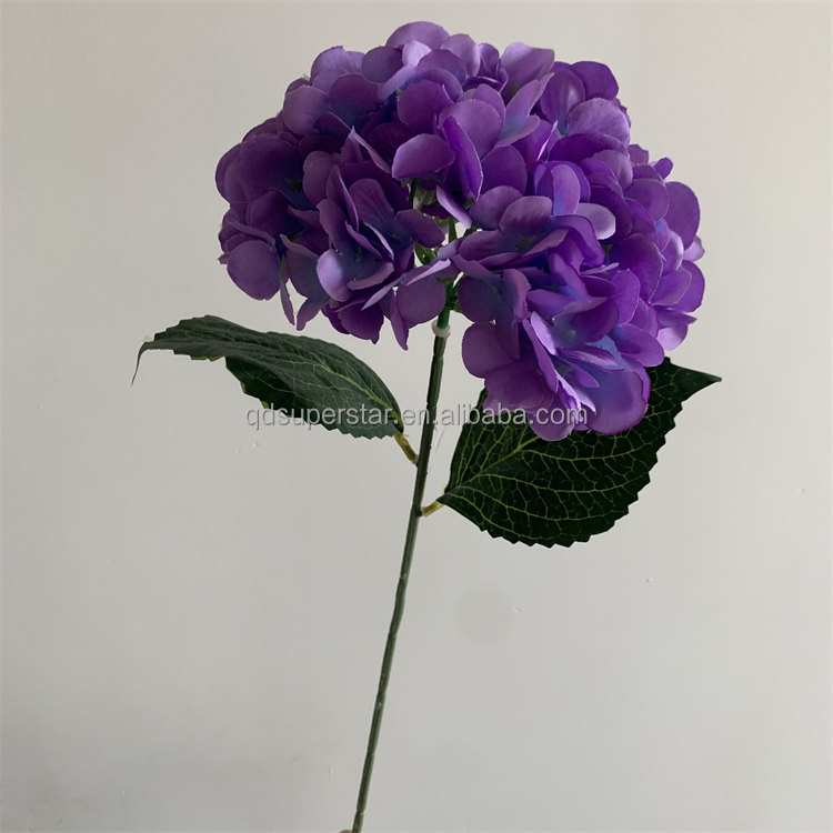 Dark Purple