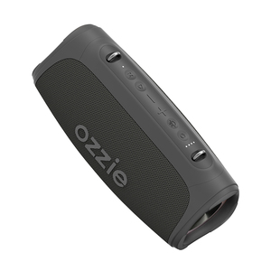 Nueva llegada altavoz portátil al aire libre para 4 conductor altavoz inalámbrico Original bajo fuerte Subwoofer IPX7 a prueba de agua - Product Image 6