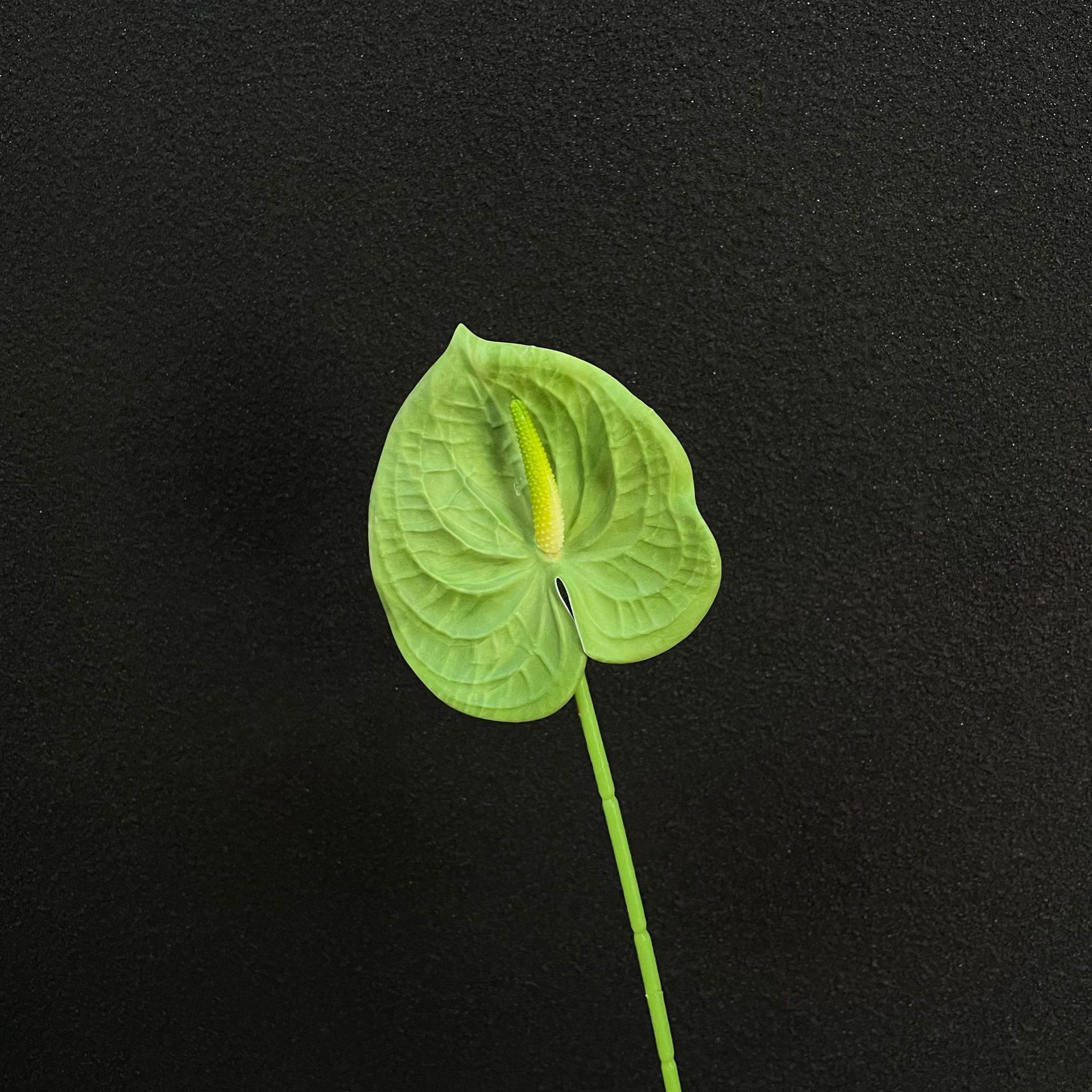 [5] Anthurium vert foncé