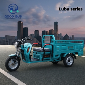 Triciclo Eléctrico Ecológico Serie Luba para Transporte Urbano, Agricultura y Fábricas - Product Image 2