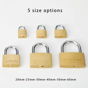 20mm Padlock BC16 20MM Candado Custom Lock Top Security Pad Lock High Safety Padlocks Keyed Alike Small Mini Cheap Copper Brass Padlock