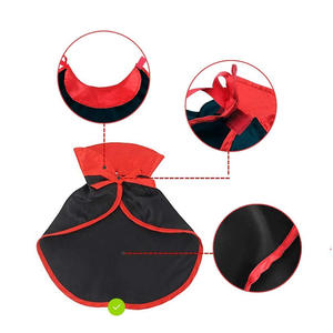 Sıcak Fırsat Klasik Düz Saten Kedi Köpek Dönüşüm Elbisesi Komik Cadı Şapkası Cadılar Bayramı Partisi Kutlaması Evcil Hayvan Kostüm Seti - Product Image 6