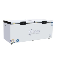 Réfrigérateur de supermarché à double porte 418L, 220V, refroidissement direct, vitrine réfrigérée, congélateur pour fruits de mer et glaces