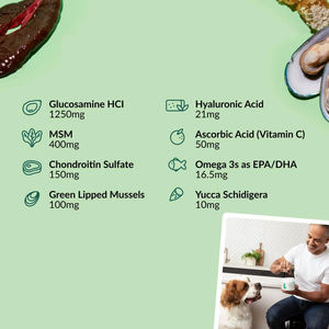 ירך שירות hoem & תוספת משותפת משפרת את הניידות משפרת את בריאות העצם תומכת בבריאות משותפת - Product Image 3