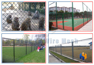 सस्ते कीमत 2-4 गेज 6 फीट डायमंड चेन लिंक बाड़ वायर एक्सेसरीज - Product Image 6