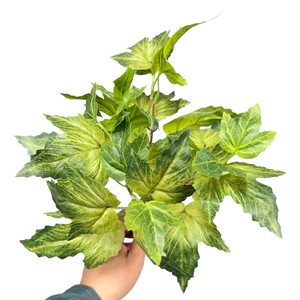 Bouquet de feuilles de lierre artificielles 30cm-100cm, verdure pour décoration intérieure, arrangement de plantes - Product Image 5