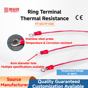 4Mm Roestvrijstalen Sonde Met Crimp Ring Terminal Thermische Weerstand Pt100/Pt1000 Rtd Temperatuur Sensor Instrument - Product Image 3