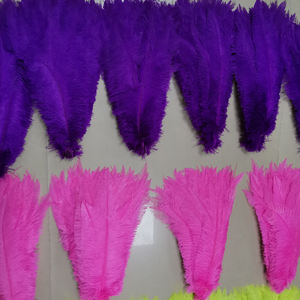 <span class=keywords><strong>Samber</strong></span> Carnival 18-20 pulgadas blanqueado teñido Nandu pluma recortada plumas de avestruz barato Caribe carnaval accesorios graduación - Product Image 4
