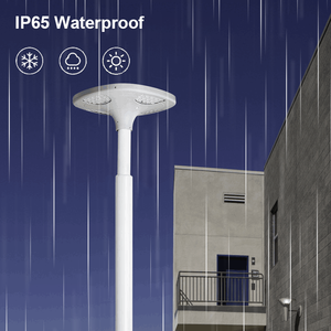 Fabricants professionnels de lampadaires LED offrant des lampadaires solaires LED et des solutions tout-en-un - Product Image 5