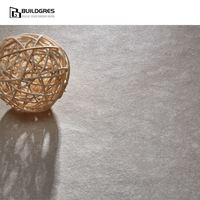 Carreaux de porcelaine gris mat antibactériens, résistants au sel et au sable, résistants aux acides, 600x600mm, pour maisons de plage et villas de luxe