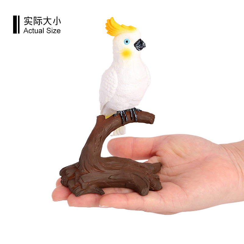 3622 cacatúa de cresta de azufre