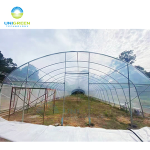Invernadero de un solo rango, invernadero usado para agricultura, tomate, fresa, venta directa de fábrica de China, 8x30m - Product Image 6