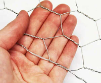 Rouleau de grillage hexagonal galvanisé à prix abordable, largeur et longueur personnalisables, mailles fines, anti-rongeurs, isolation de jardin