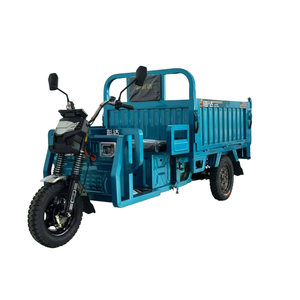 Triciclo Eléctrico para Adultos 2025, Venta Caliente en China, Motocicleta de Tres Ruedas, Triciclo de Carga con Batería Opcional - Product Image 1