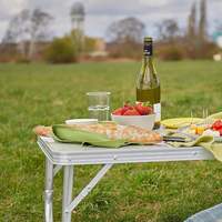 Table pliante d'extérieur universelle multi-appareils, capacité 140 kg, légère, hauteur réglable, en aluminium, pour le camping