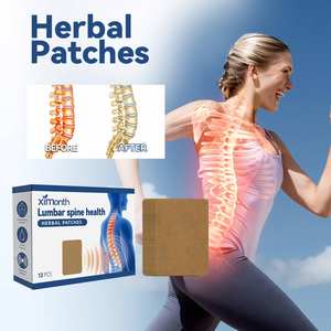 Ximonth Label pribadi plester Herbal Wormwood alami, plester pereda nyeri tulang belakang Lumbar untuk pria dan wanita - Product Image 5