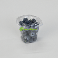 Offre Spéciale : Pot à Myrtilles de 4,4 oz en PET avec Couvercle Transparent pour Fruits