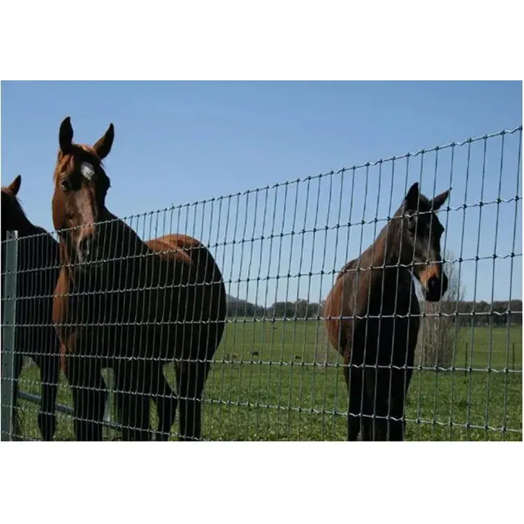 Grassland Fence / Field Fence/ hinge joint fence