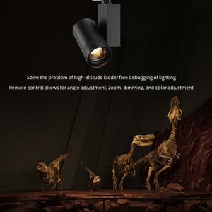 Projecteur LED motorisé à zoom sur <span class=keywords><strong>rail</strong></span>, avec angle de faisceau réglable et CRI élevé, <span class=keywords><strong>luminaire</strong></span> d'accentuation pour applications d'exposition muséale - Product Image 3